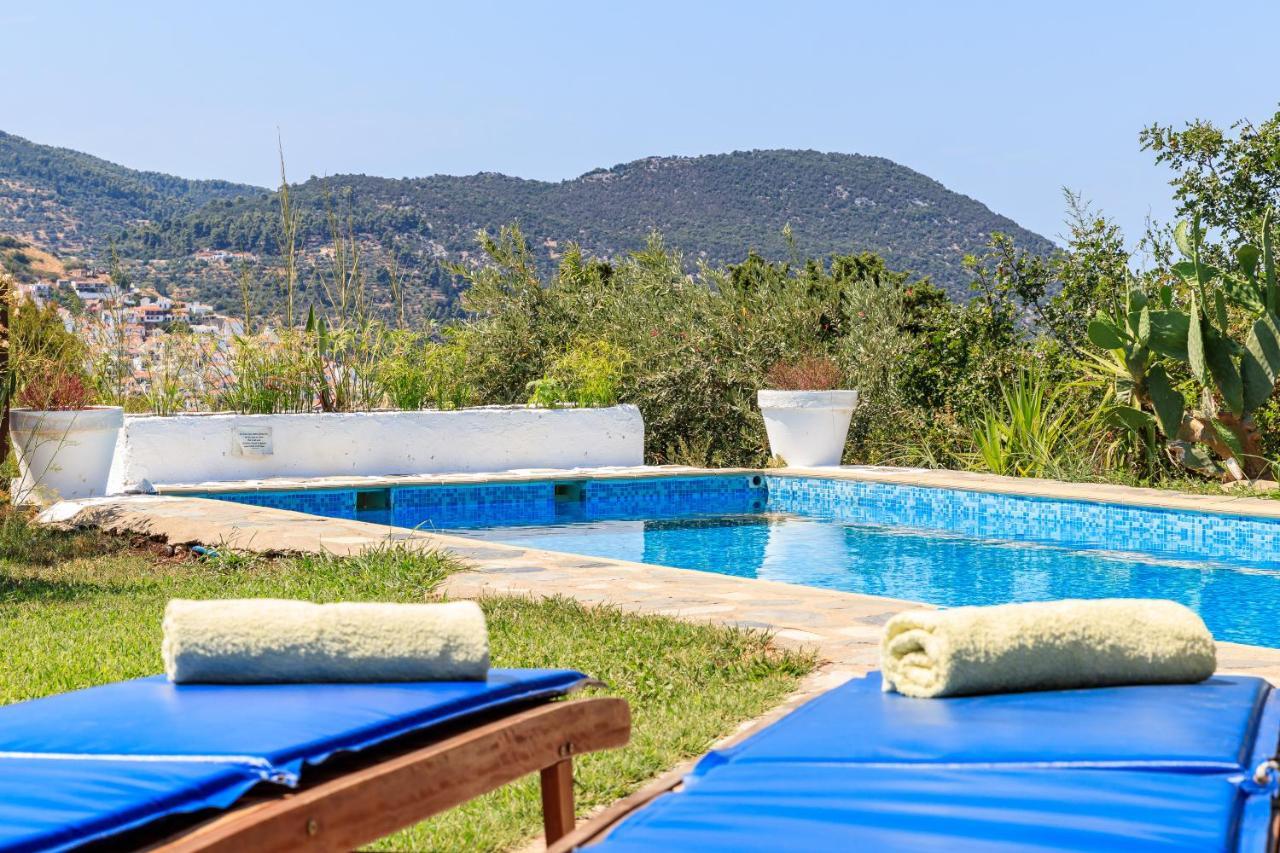 Villa Rodia With Swimming Pool On Skopelos Island Exterior photo